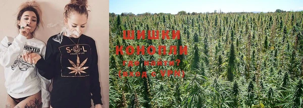PSILOCYBIN Белоозёрский