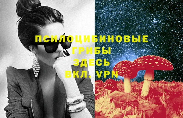 PSILOCYBIN Белоозёрский