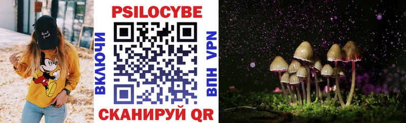 Псилоцибиновые грибы мицелий omg маркетплейс Соль-Илецк